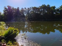 DĚTSKÉ RYBÁŘSKÉ ZÁVODY V LOCHOVICÍCH (3)  oplus_2097154